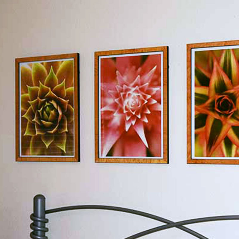 Thumbnail | Custom Frame Set for Photos of Succulents